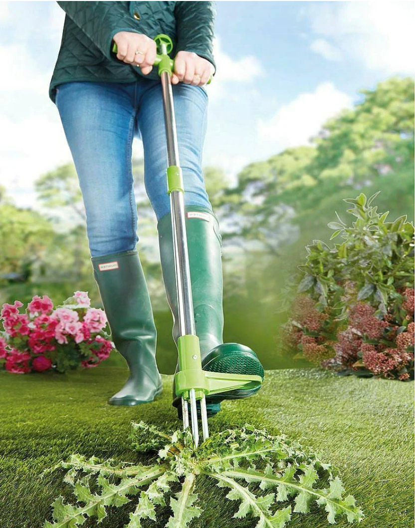 Standing Weed Puller with Spring Loaded Prongs and 36 Inch Handle