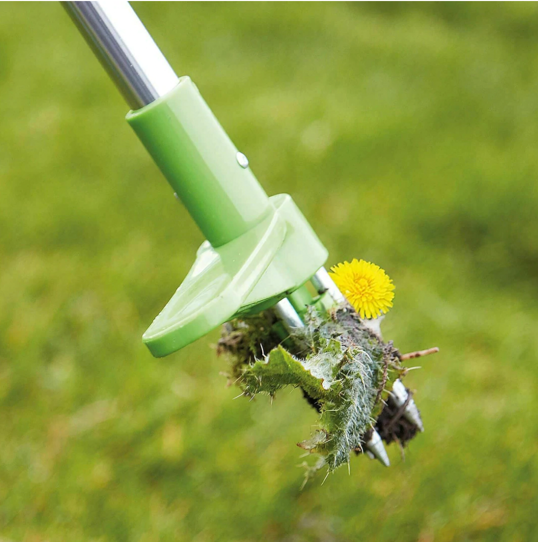Standing Weed Puller with Spring Loaded Prongs and 36 Inch Handle
