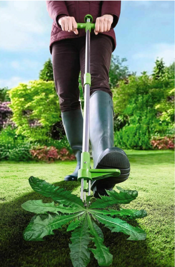 Standing Weed Puller with Spring Loaded Prongs and 36 Inch Handle