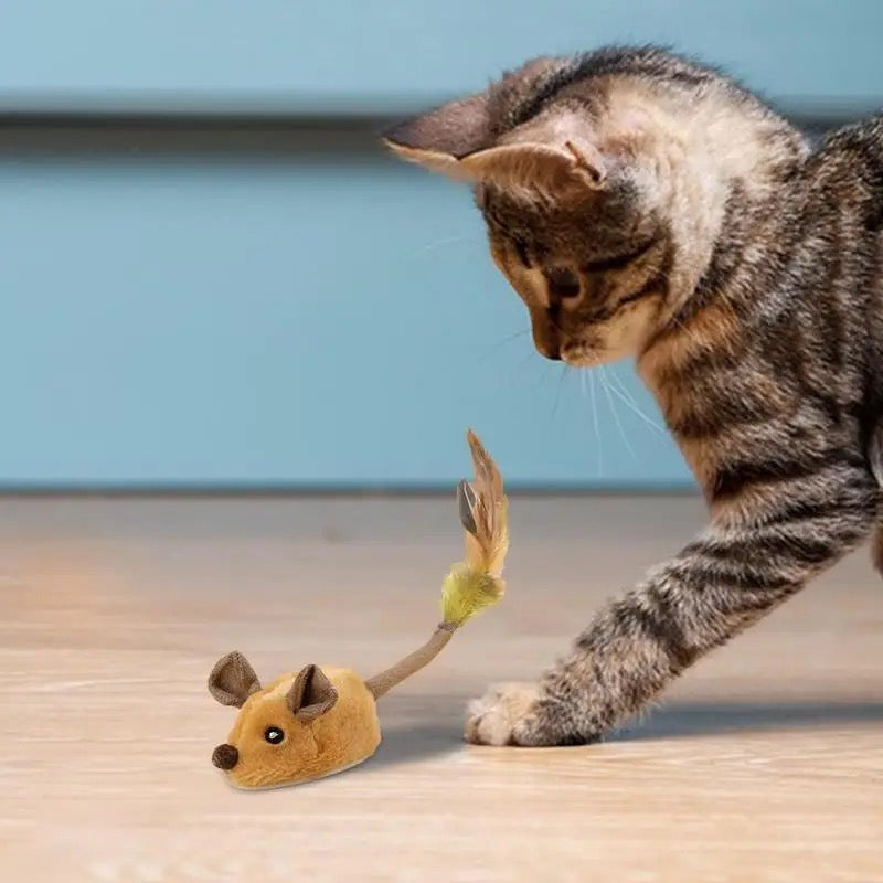 Interactive Mouse Toy with Obstacle Detection and 360 Degree Movement for Cats
