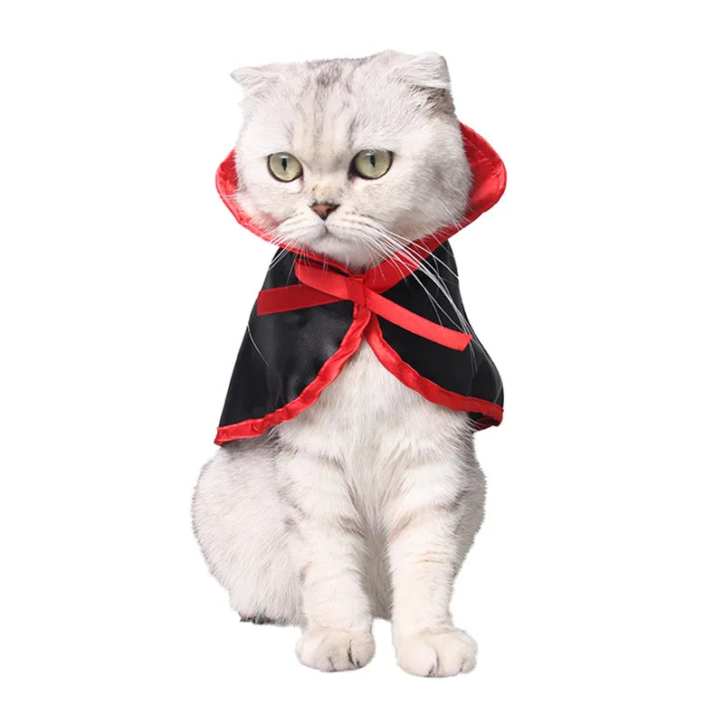 Cat Witch Costume with Glowing Accents and Dangling Decorations
