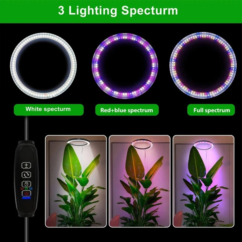 Full Spectrum LED Ring Light with Adjustable Height and Timer Control