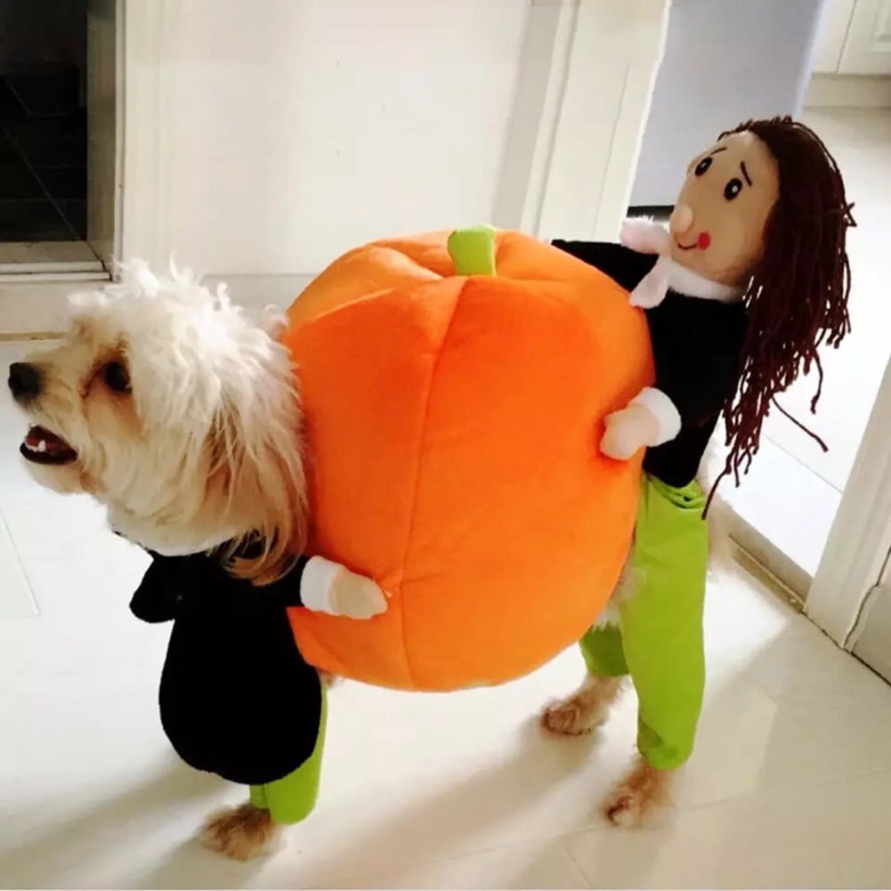 Dog Pumpkin Costume with Velvet Fabric and Secure Fit, 5 Sizes Available