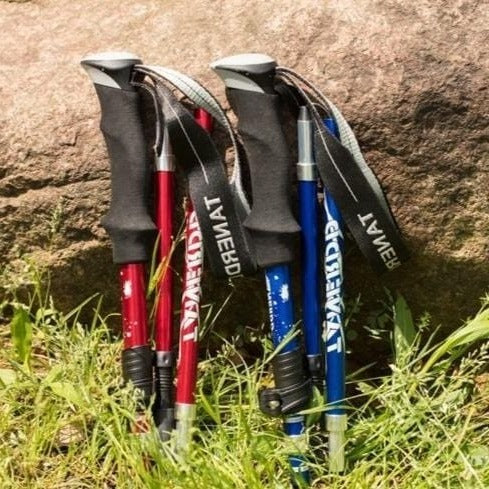Telescoping Trekking Poles with Twist Lock Adjustment and Aluminium Frame