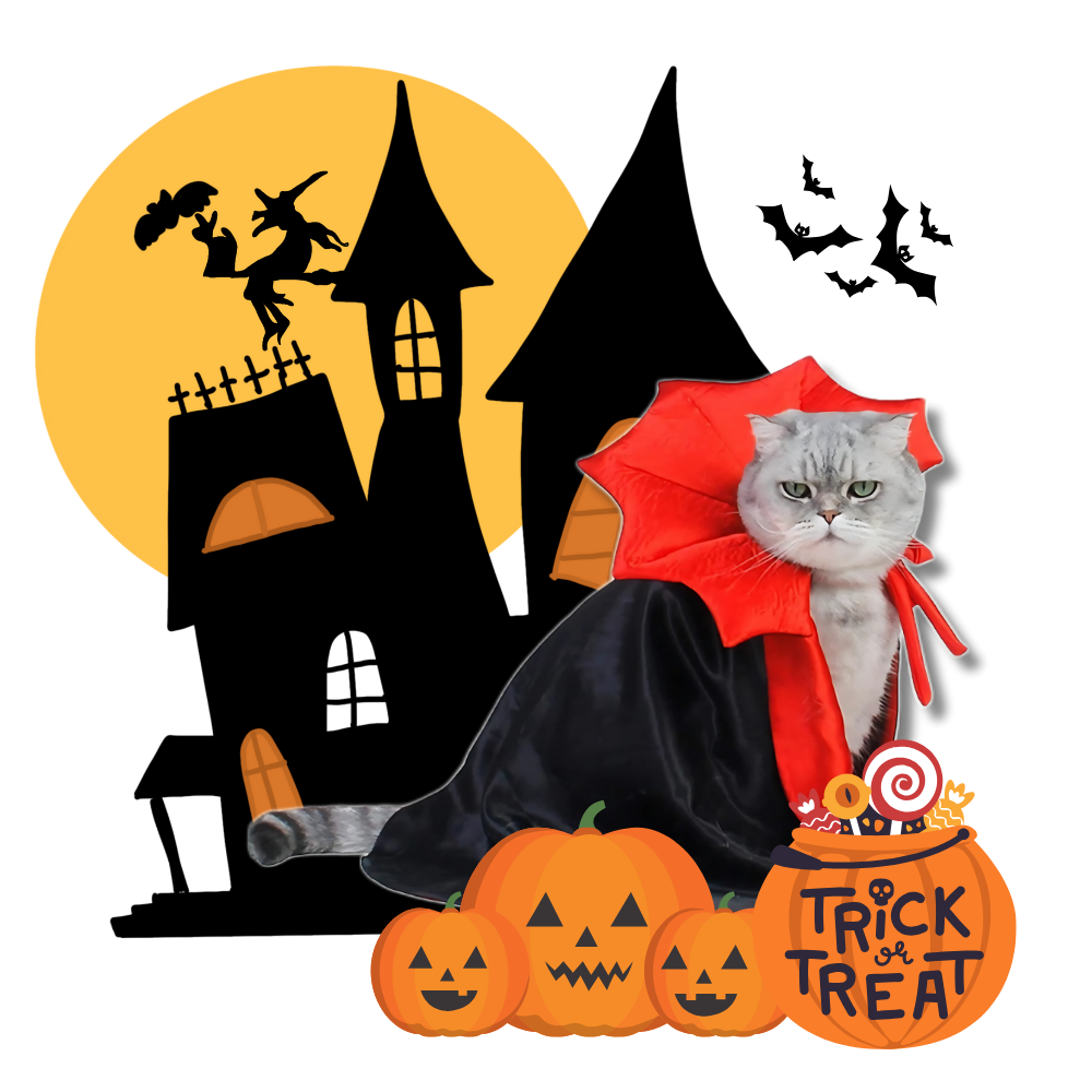 Cute Dracula Halloween Pet Costume - Ozerty