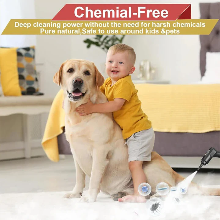 Portable 2500W Steam Cleaner with Heat Resistant Gloves and Multiple Nozzles for Home and Car