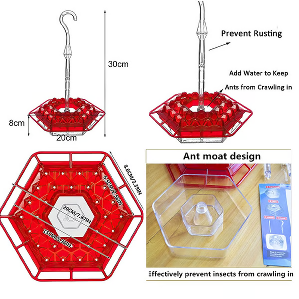 30-Port Hummingbird Feeder with Ant Moat and Clear Body, Red Attraction Color