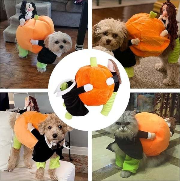 Dog Pumpkin Costume with Velvet Fabric and Secure Fit, 5 Sizes Available
