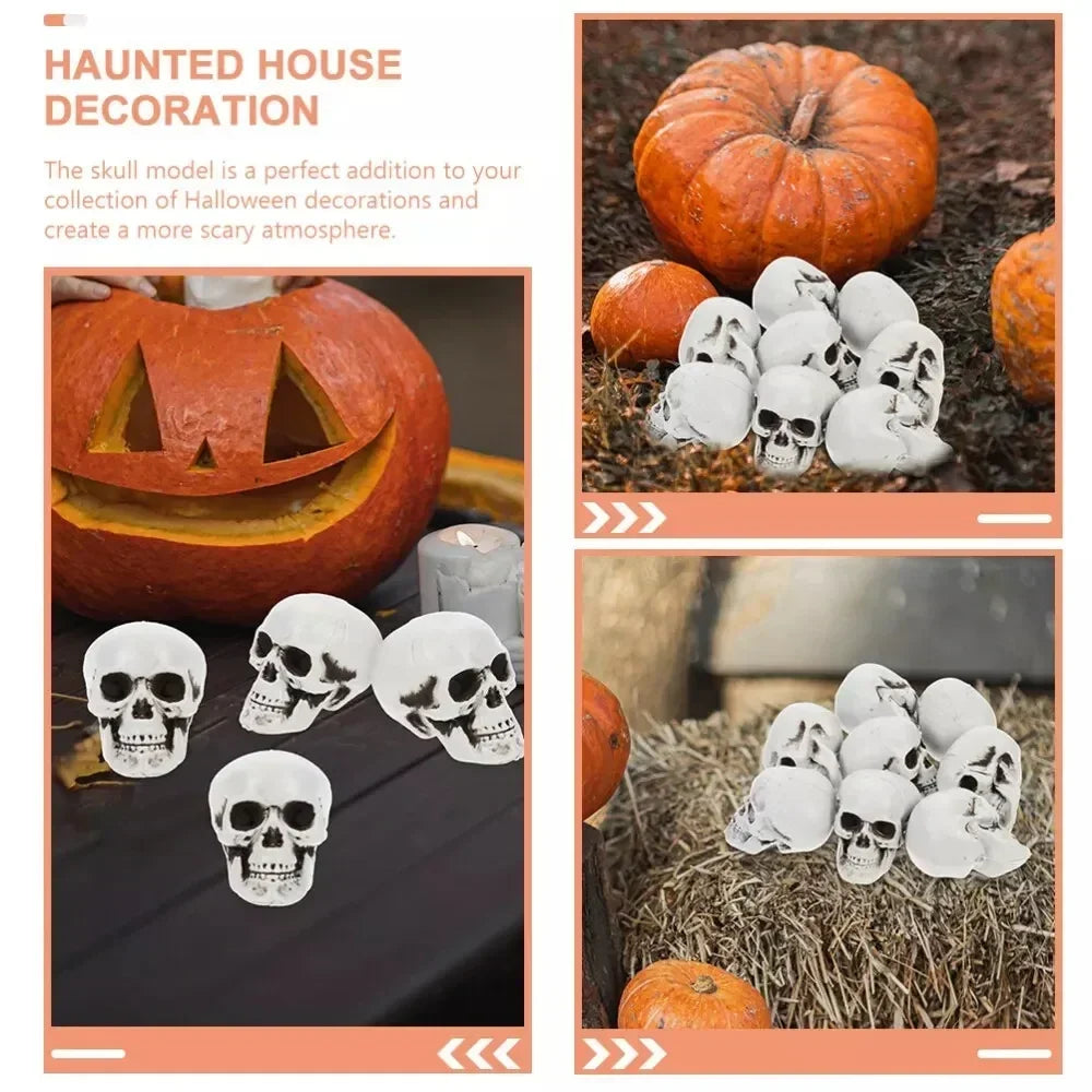 Mini Skull Decorations with White Skeletal Finish Set of 10