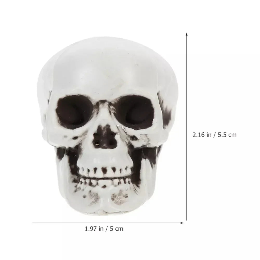 Mini Skull Decorations with White Skeletal Finish Set of 10