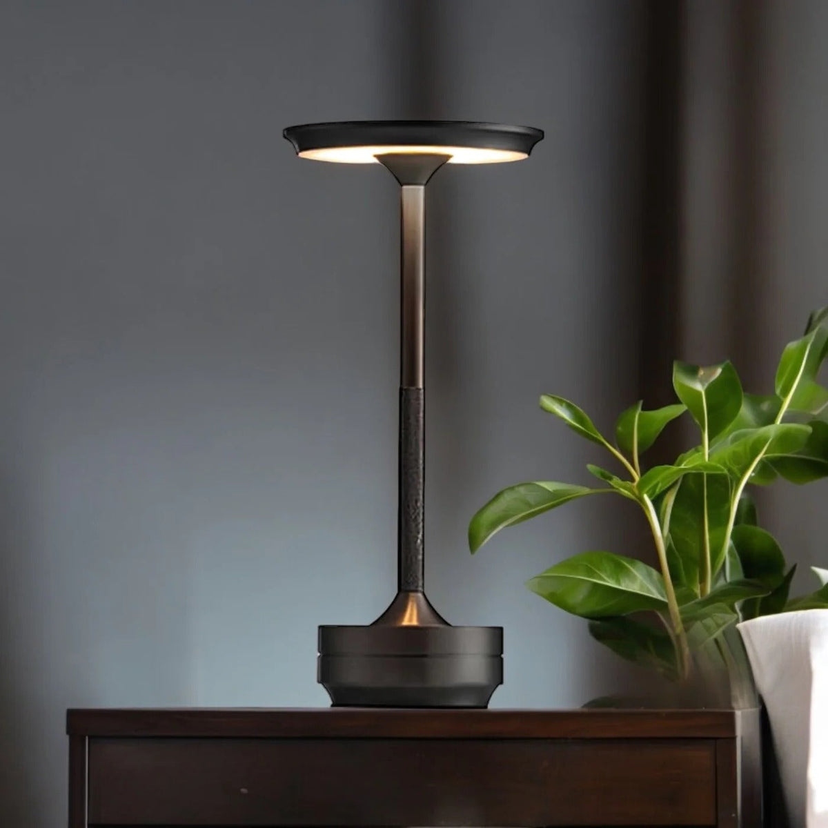 Rechargeable Table Lamp with Touch Dimming and Three Color Temperatures
