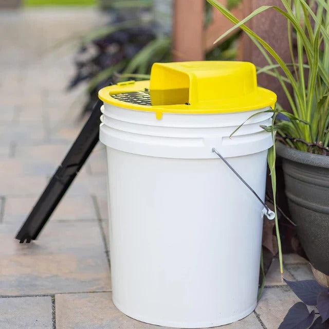 Bucket Mouse Trap with Automatic Reset and Dual Ladders for 5-Gallon Buckets