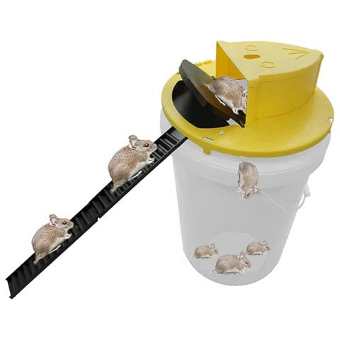 Bucket Mouse Trap with Automatic Reset and Dual Ladders for 5-Gallon Buckets