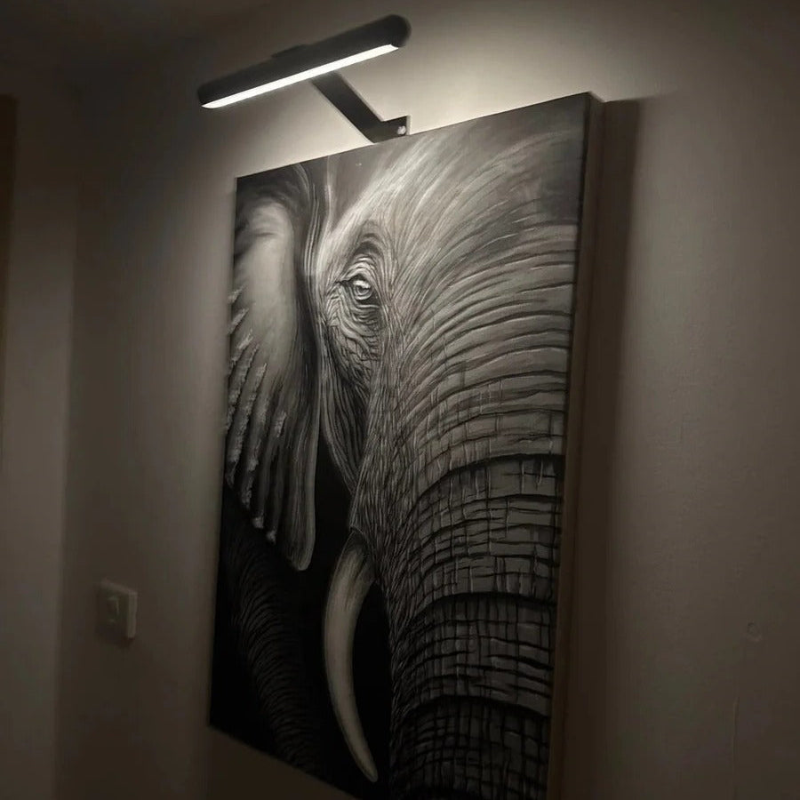 Picture Light with 360-Degree Rotation and Stepless Dimming for Wall Art Display