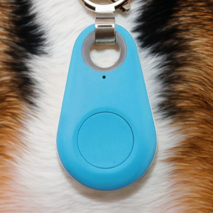 Wireless Pet Tracker with Real Time Location and Safe Zone Alerts