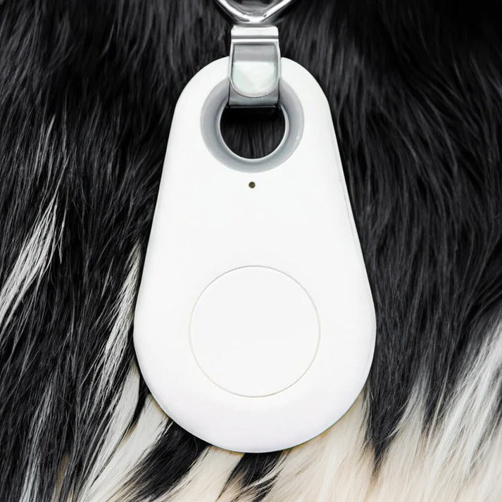Wireless Pet Tracker with Real Time Location and Safe Zone Alerts