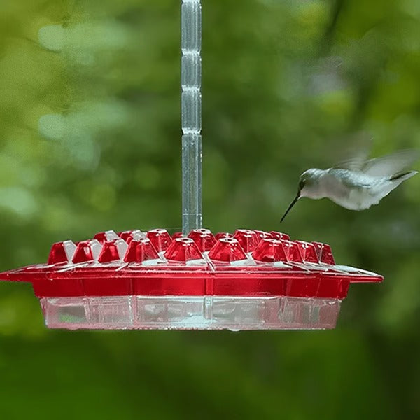 30-Port Hummingbird Feeder with Ant Moat and Clear Body, Red Attraction Color