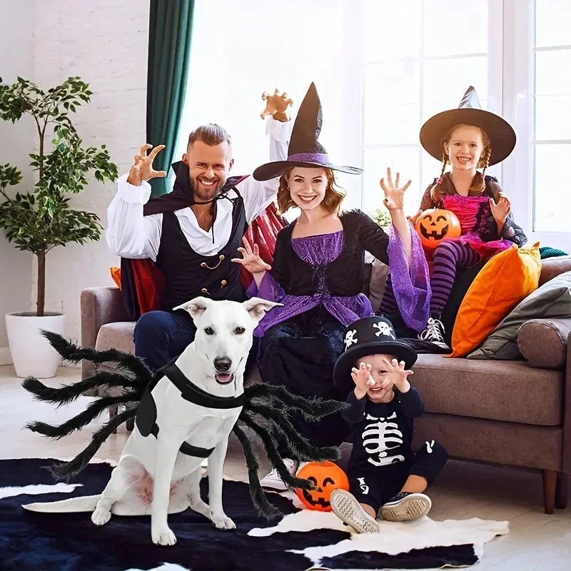 Spider Costume for Pets with Eight Attached Legs and Adjustable Straps