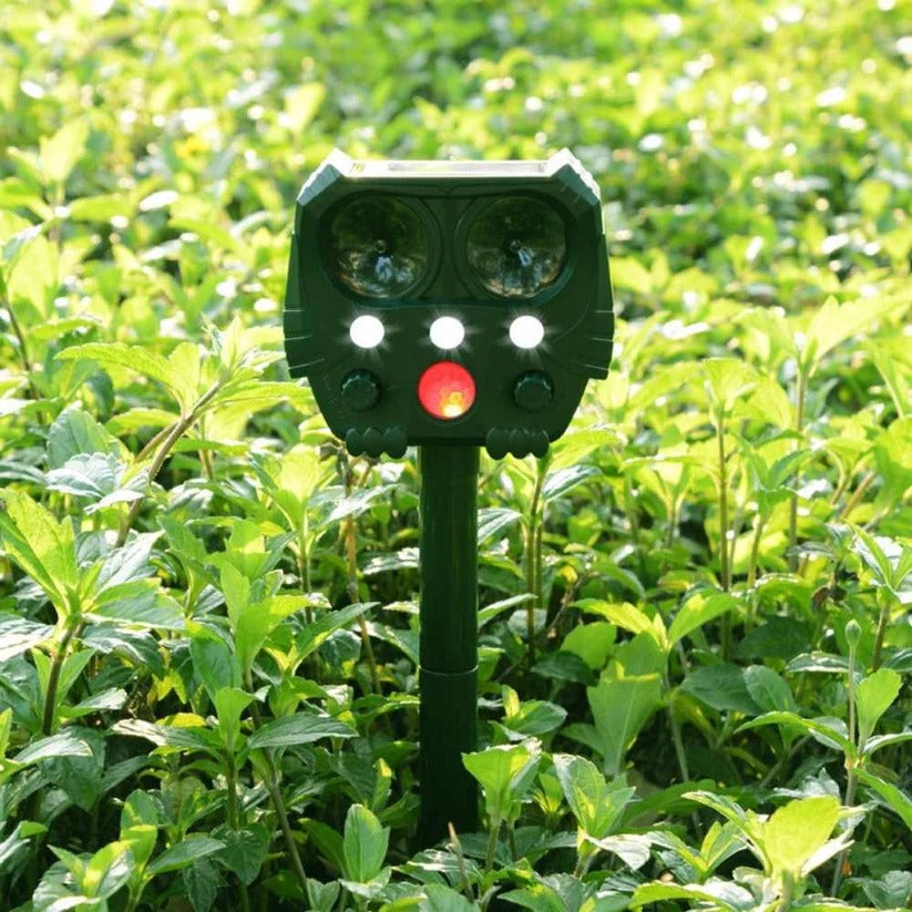 Motion Activated Animal Repellent with Ultrasonic Waves and Infrared Light for Cats, Foxes, Rats and Squirrels