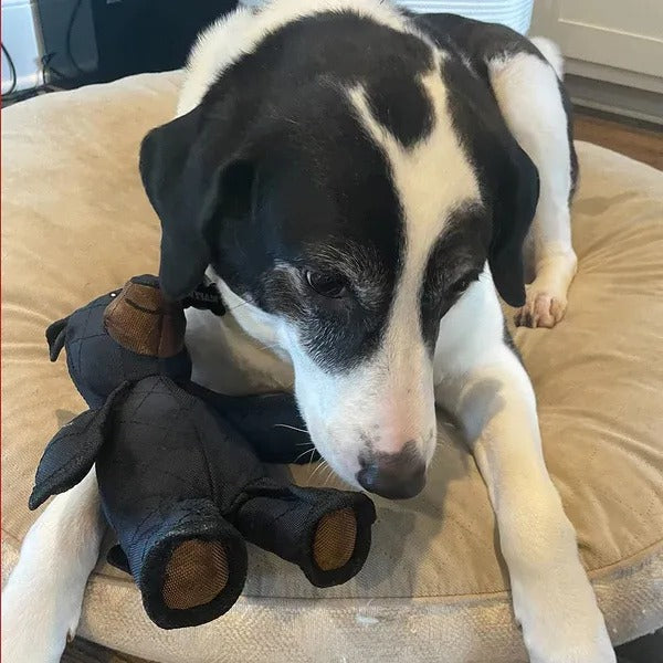 Bear Dog Toy with Internal Squeaker and Reinforced Stitching, Machine Washable