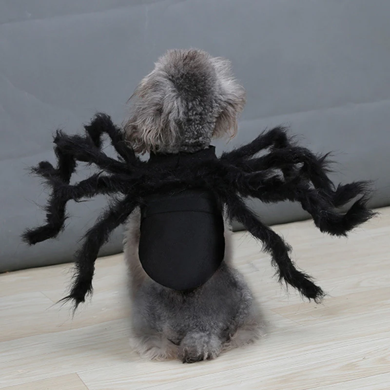 Spider Costume for Pets with Eight Attached Legs and Adjustable Straps