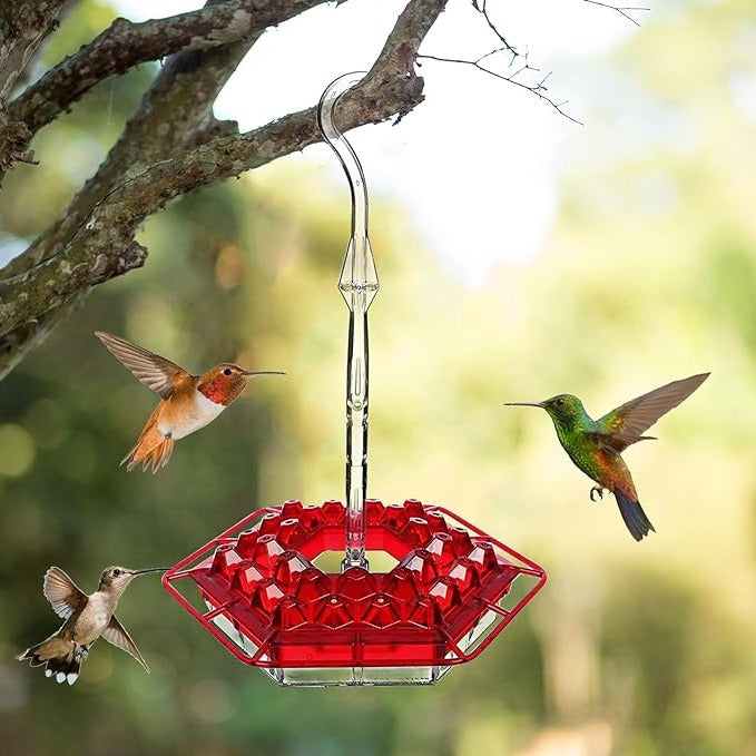 Hummingbird Feeder with Built-in Ant Moats and 30 Flower Ports, Hanging Design