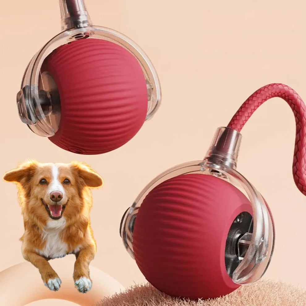 Interactive Rolling Ball Toy for Dogs with Detachable Tail and Random Movement