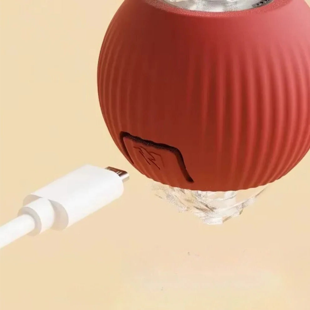 Interactive Rolling Ball Toy for Dogs with Detachable Tail and Random Movement