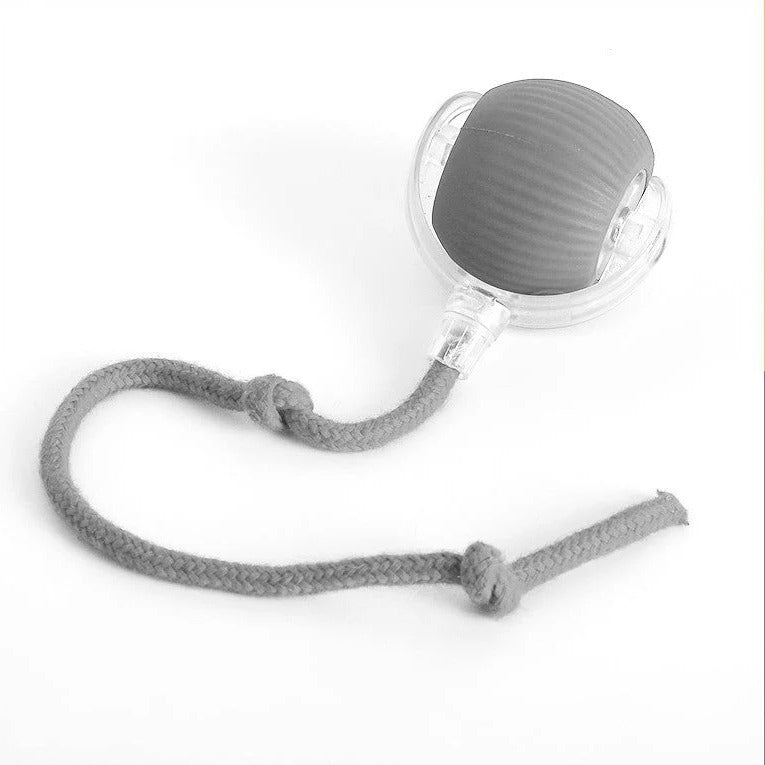 Interactive Rolling Ball Toy for Dogs with Detachable Tail and Random Movement