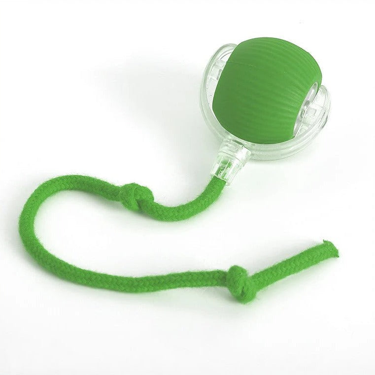 Interactive Rolling Ball Toy for Dogs with Detachable Tail and Random Movement