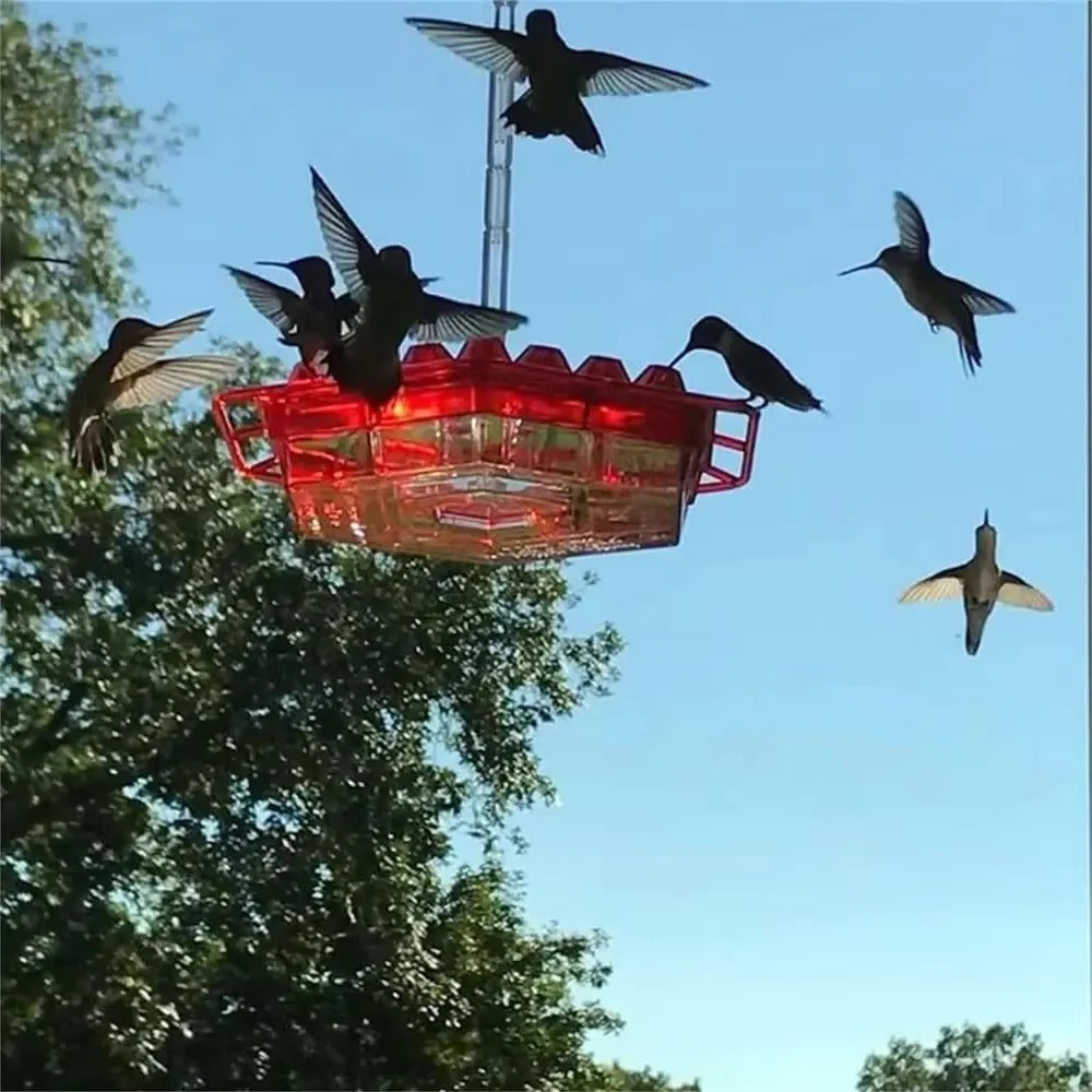 Hummingbird Feeder with Built-in Ant Moats and 30 Flower Ports, Hanging Design