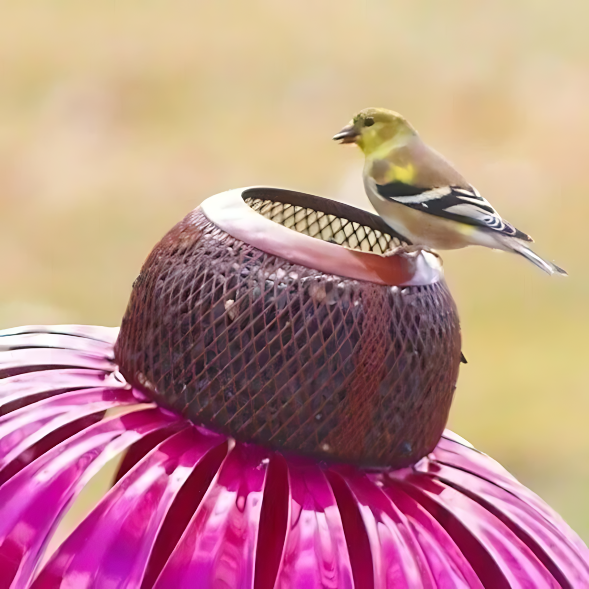 Metal Bird Feeder with Open Dish Design and Lift Top Refill