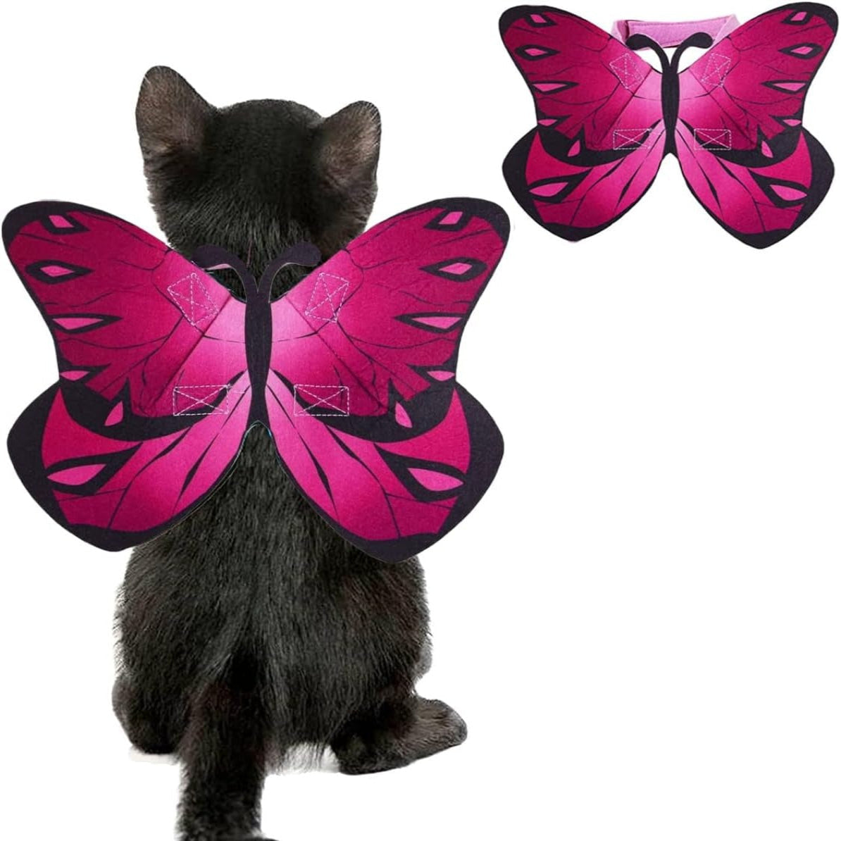 Bat Wing Costume for Cats and Small Dogs with Adjustable Straps