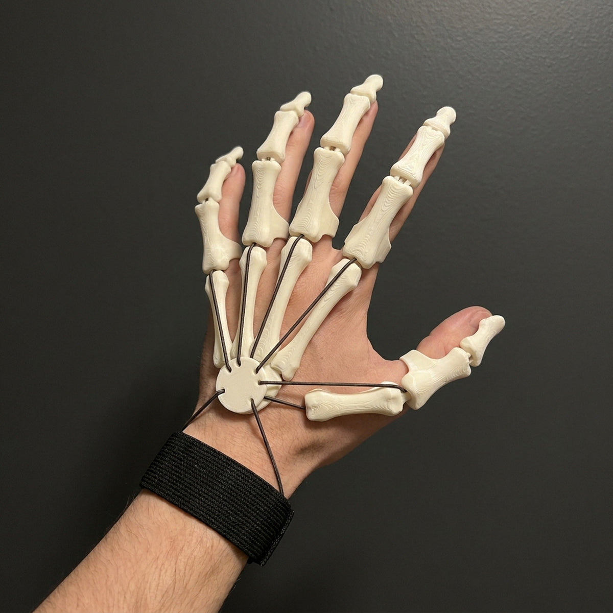 Finger Extension Claws with Articulated Joints and Elastic Wrist Strap, Pair Set All Vera Mart