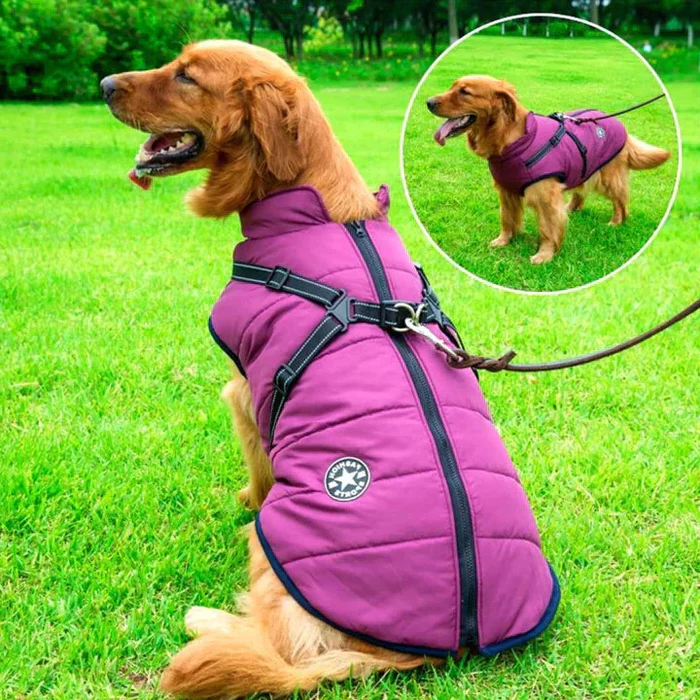 Insulated Dog Jacket with Sherpa Fleece Lining and Built-in Harness, Reflective Stripes