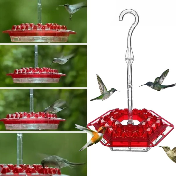 Hummingbird Feeder with 30 Flower Shaped Ports and Built In Ant Moat