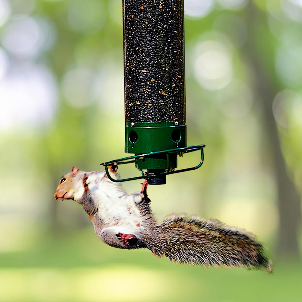 Rotating Perch Bird Feeder with Weight-Activated Spinning and Four Feeding Ports