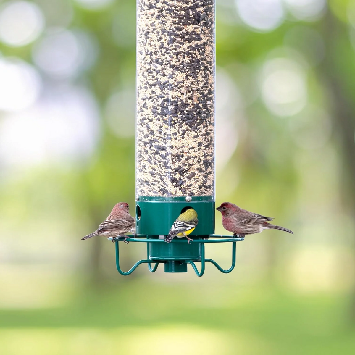Rotating Perch Bird Feeder with Weight-Activated Spinning and Four Feeding Ports