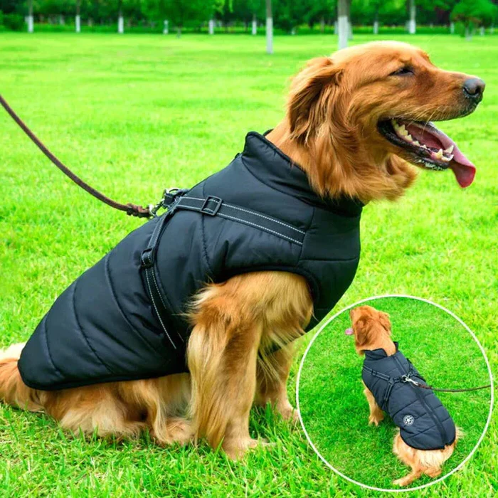 Insulated Dog Jacket with Sherpa Fleece Lining and Built-in Harness, Reflective Stripes