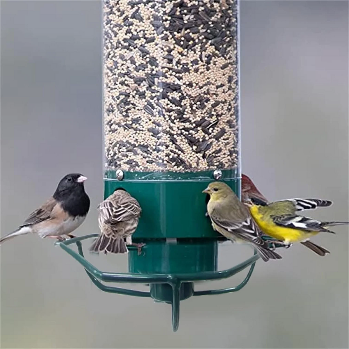 Rotating Perch Bird Feeder with Weight-Activated Spinning and Four Feeding Ports