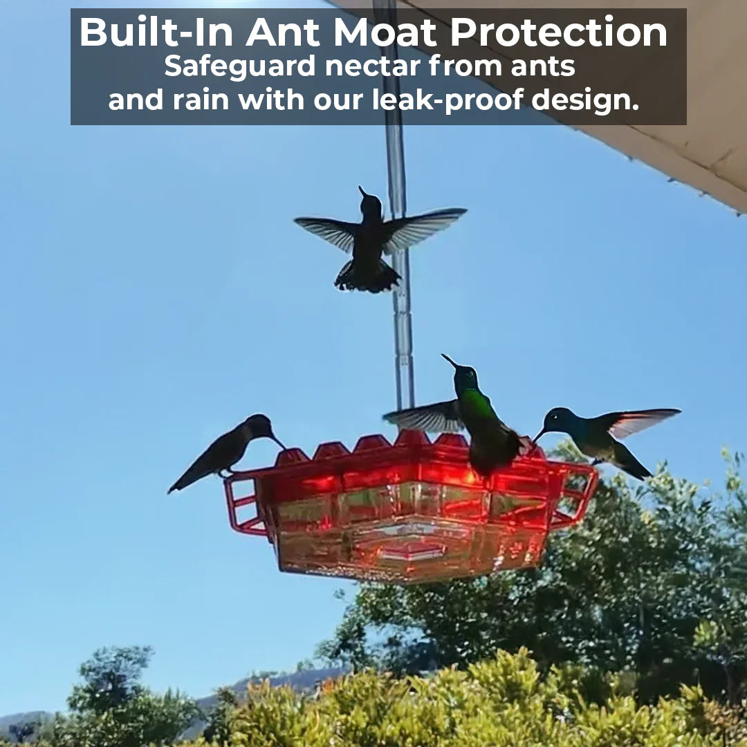 Hummingbird Feeder with 30 Flower Shaped Ports and Built In Ant Moat