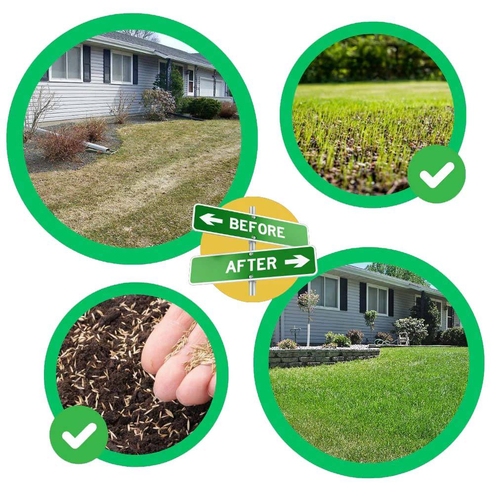 Grass Seed Mat with Embedded Fertilizer and Biodegradable Biofabric