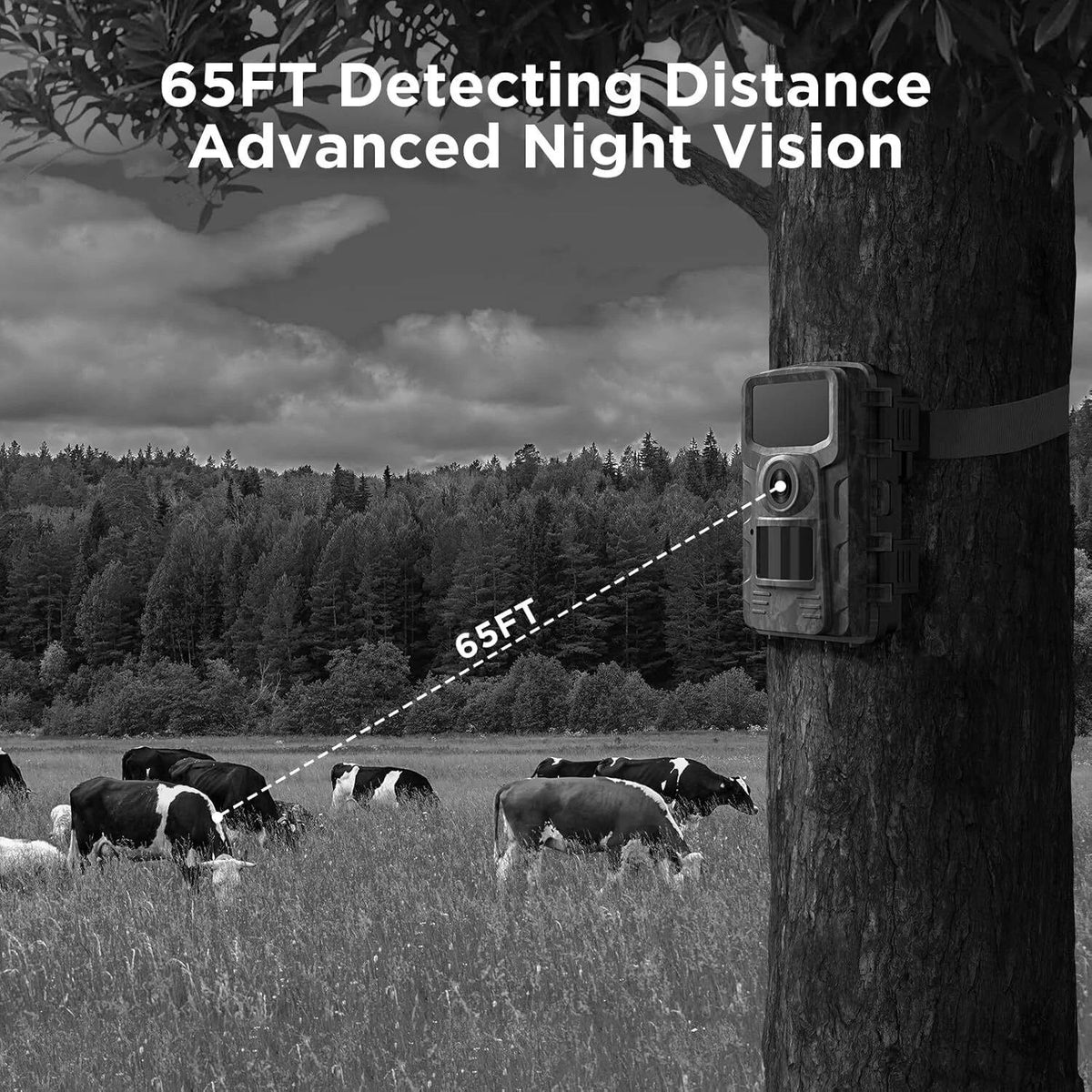 Wildlife Trail Camera with Infrared Night Vision and 16MP Photo, 1080P Video